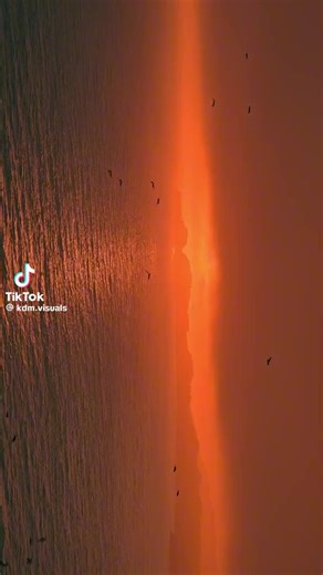 Spider void 14 (@vrchat.gooner)’s videos with original sound - Spider void 14