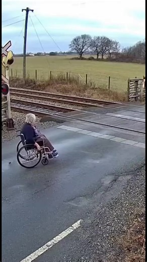 Cavalo herói no cruzamento ferroviário! Um cavalo salva uma mulher em cadeira de rodas de um trem que se aproxima. Incrível! #fblifestyle #AI Generated using Kling AI . . . (Apenas para fins de entretenimento. Consulte profissionais se forem apresentadas orientações sobre atividades. Nenhuma afiliação a marcas está implícita se alguma for mostrada. Se inspirado em fatos reais, podem ser incluídas adaptações criativas. O conteúdo pode incluir imagens públicas.) | Fabiosa Portugal