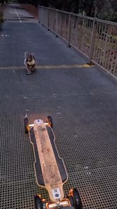 6.7K views · 218 reactions | A typical day riding your Evolve board in Australia. We got snakes, spiders, kangaroos, koalas and big sharks! Got a rad video you want us to share? You can now upload them via our website! Video courtesy of @jonesy_from_mars | Evolve Skateboards | Facebook