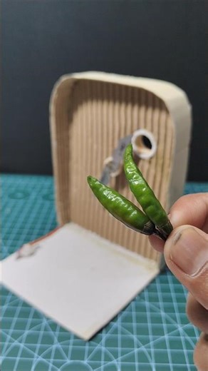 Chilli Cutter Machine Diy project at home with Dc Motor | #youtubeshorts #shorts #dcmotor #motor