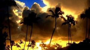 HAWAIIAN SUNRISE Lyrics - NEIL YOUNG | eLyrics.net