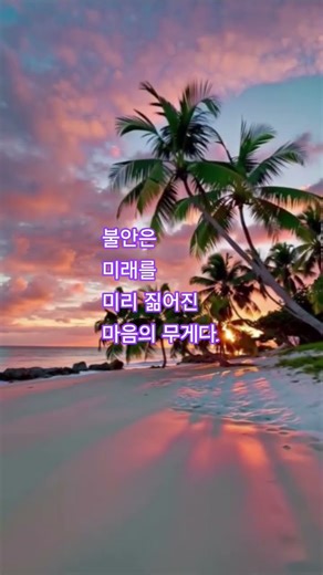노을지는 바닷가, 야자수와 함께한 황홀한 순간 | 노을지는 바닷가 감성 힐링 영상#노을지는바닷가 #야자수영상 #감성힐링 #힐링영상 #자연힐링#shorts