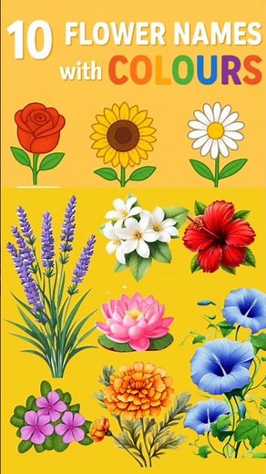 🌸 10 Flower Names with Colours in English | Learn Flowers and Colours for Kids| Educational Shorts 🌈