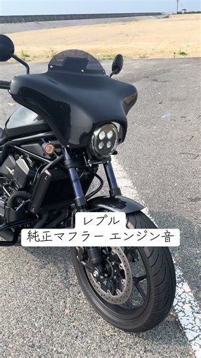 TikTokでかみかぜさんをチェック！