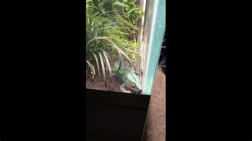 TEMP_TRIM_1721042846580.mp4 — Видео от Кристина Груздева