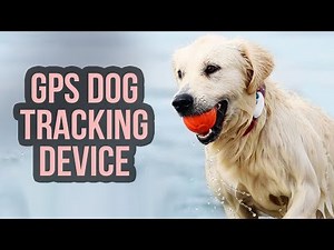 Top 5 Best GPS Dog Tracker | Real Time Pet Trackers