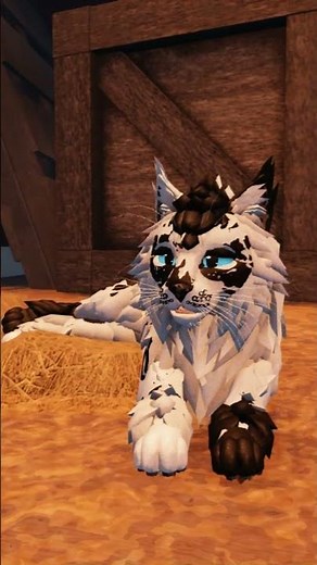 Making Warrior Cats Characters / Day 1! | Warrior Cats: Ultimate Edition 🐈