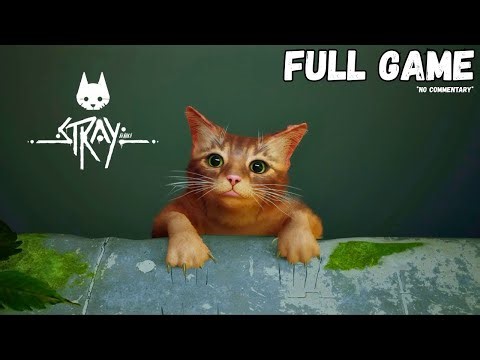 Stray | FULL GAME (No Commentary) #gaming #stray