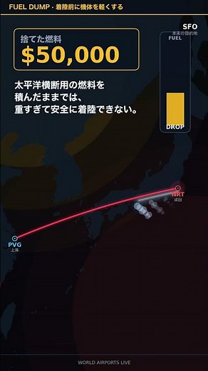 目的地はサンフランシスコ。なのに、東京に降りた｜離陸2時間で何が #Shorts