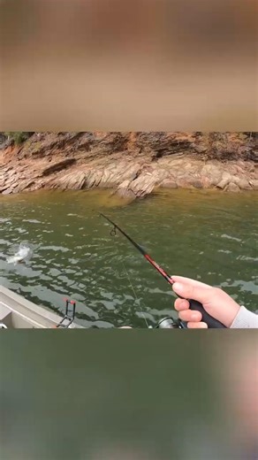CHUNK Bass DESTROYS Swimbait!!!
