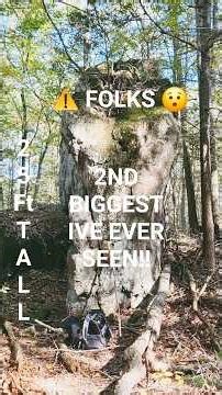 NATIVE AMERICAN MEGALITH!! Colebrook CT. #nativeamerican #nature #indigenous #rock #rocks #amazing