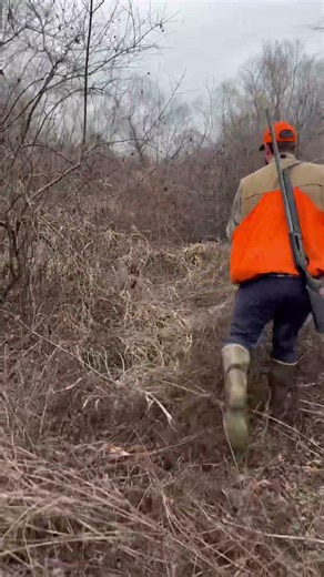LOADED WITH SWAMP RABBITS #swamp #viral #hunting #outdoors #hounds