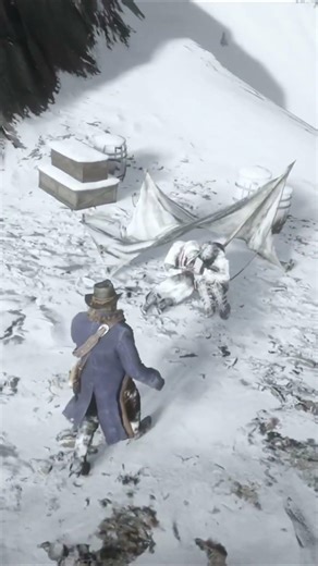 Panoramic Map Location in RDR2