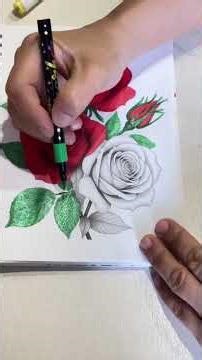 • “Crimson Rose Elegance” 🌹. coloring #coloringbook #art #drawing