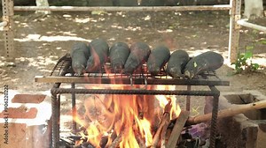 Grilling eggplant over wood flame. Cooking over wood fire at camp.Food cooked among the flames. Eggplants cooking in flames. Cooking eggplant puree