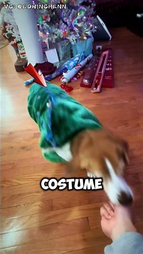 Is This Owner Pure Evil or a Genius? 🤣 #DogRagebait #BeagleLife #funnypets #short