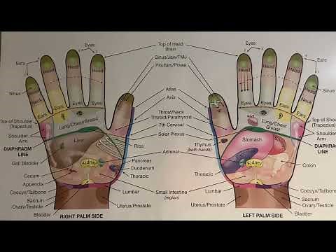 What are the 2 Best Hand Reflexes to Reduce Stress and Fear - Reflexology