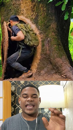 610K views · 9.9K reactions | En medio del bosque y sin salida, esta persona usó su ingenio para crear un refugio increíble dentro de un árbol gigante. ¡Una verdadera obra de supervivencia que te dejará sin palabras!  #SupervivenciaExtrema #RefugioEnElBosque #IngenioHumano #AventuraReal #HistoriasQueImpactan | Chuleta reacciones | Facebook