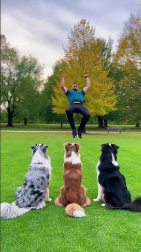 Animal backflip tricks 2