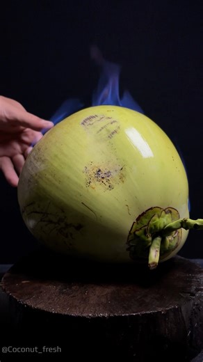 Zuko the firebender has returned