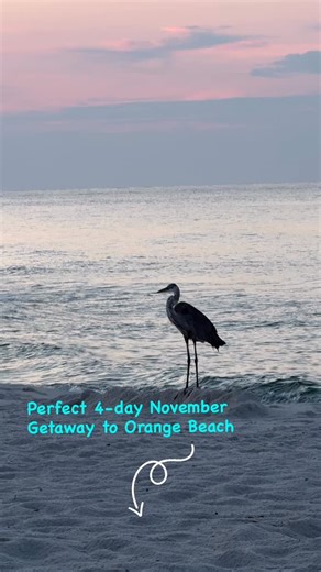 🌅 The Perfect 4-Day November Getaway in Orange Beach, AL 🍂 Why November? Mild temps, quiet beaches, and golden sunsets — all the beauty of summer without the crowds. 🗓️ Your 4-Day Itinerary: Day 1 – Arrival Coastal Vibes ✨ Check in to Coastal Bummz 🏖 Sunset stroll on the beach 🍤 Dinner at The Gulf – open-air views fresh seafood Day 2 – Explore Indulge 🚲 Morning ride along the Hugh S. Branyon Backcountry Trail ☕️ Brunch at Ruby Slipper Café 🐬 Afternoon dolphin cruise or kayak in the bay 🔥