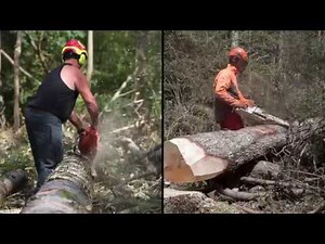Être Entrepreneur de Travaux Forestiers dans l'Ain aujourd'hui (FOREST'AIN)