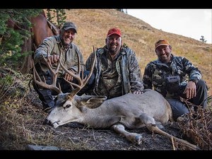 Nontypical Mule Deer - Wyoming Backcountry