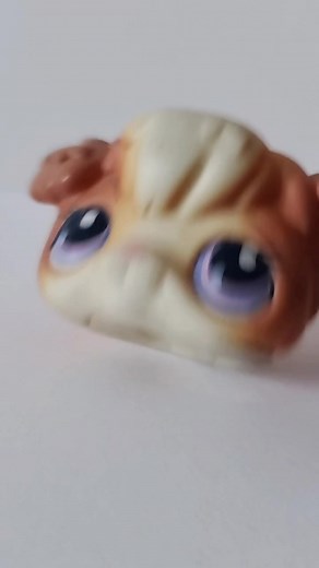 the... interesting side of my collection #lps #littlestpetshop #lpstok #lpstiktok #lpscollection #lpscollector #lpscustom #AEHolidayForever #DoTheJuJu