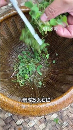 Unlock the Secrets of Sour Grass