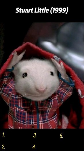 Stuart Little (1999) | Stuart Gets Trapped Inside the Washing Machine