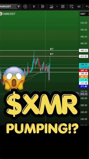 Monero (XMR) Pumping ( May 30 )