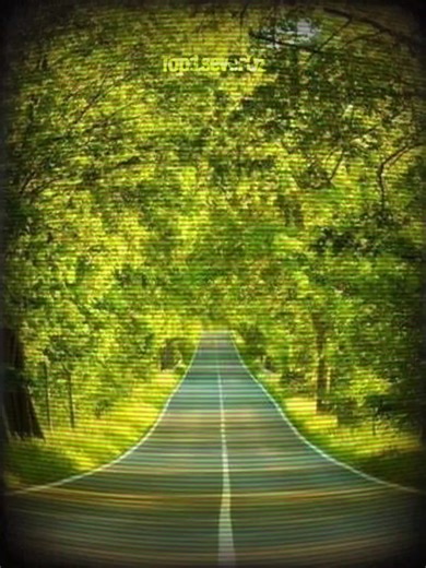 Cheems Meme Compilation: Funniest Animations to Enjoy