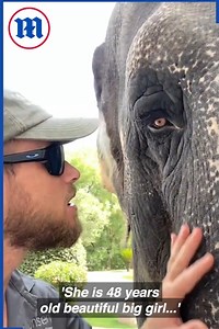 This man has the best job! 🐘🐻🐒 | Daily Mail Video