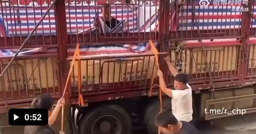 3 person job to place the slider - Video