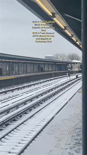 🚇🟡~R46 N TRAIN~🟡🚇 (@luna_da_cat17)’s video of a train