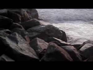 Hotel Books "Constant Conclusions" (Official Music Video)