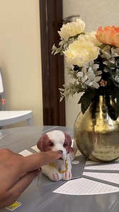 Ultimate Gift for Dog Lovers | Gadget Ninja