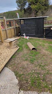 The wee boys are back to enjoying the better weather again | Beech Tree Inn