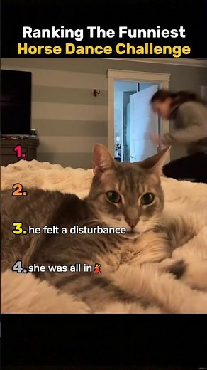 Ranking the Funniest Horse Dance Challenges 🐴🤣