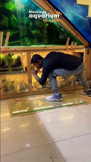 Making of a Fish Tank | How a Custom Aquarium is Built | Blessings Aquarium Pune