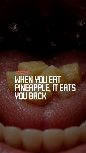When you eat pineapple, it eats you back - A fresh pineapple contains enzymes that actively break down proteins, causing a stinging sensation in your mouth while also explaining its ability to tenderize meat and resist gelatin setting. | The Brain Maze