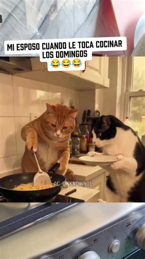 literal 🤣🤣🤣#fippppppppppppppppp #paratiiiiiiiiiiiiiiiiiiiiiiiiiiiiiii #tiktokviral #fypシ゚ #tiktokviral