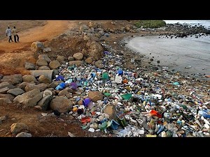 Explanatory video: Why plastic is dangerous for the environment