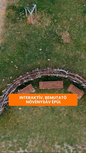 #váralja #parkerdő #újszint | Csibi Krisztina