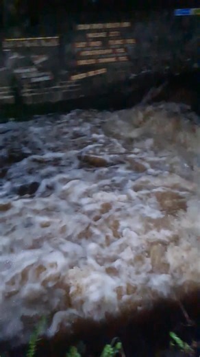 6.30 am THURSDAY | Dunmurry Dippers
