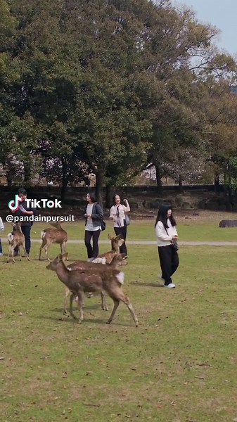 Oh Nara the place you are