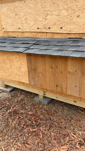 Adding nesting boxes to the coop #goat #chicken #chickencoop #nestingbox g