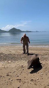 Jayprehistoricpets on Reels