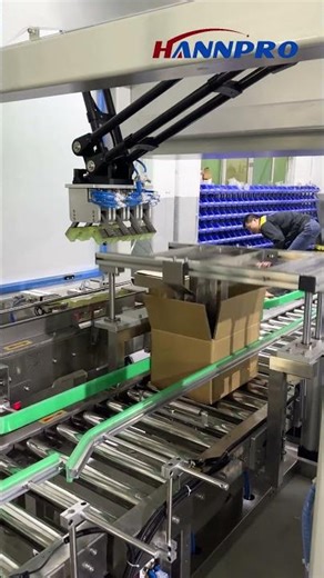 Hand Sanitizer: 12-Bottle Cartoning & Palletizing Solution