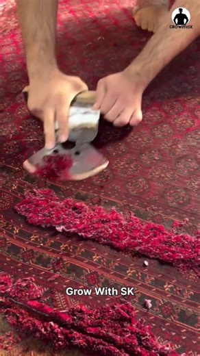 Life Lessons✅🔥💯#motivation #trendingyoutubeshorts #sigmasuccess #succesrules #motivationalclips